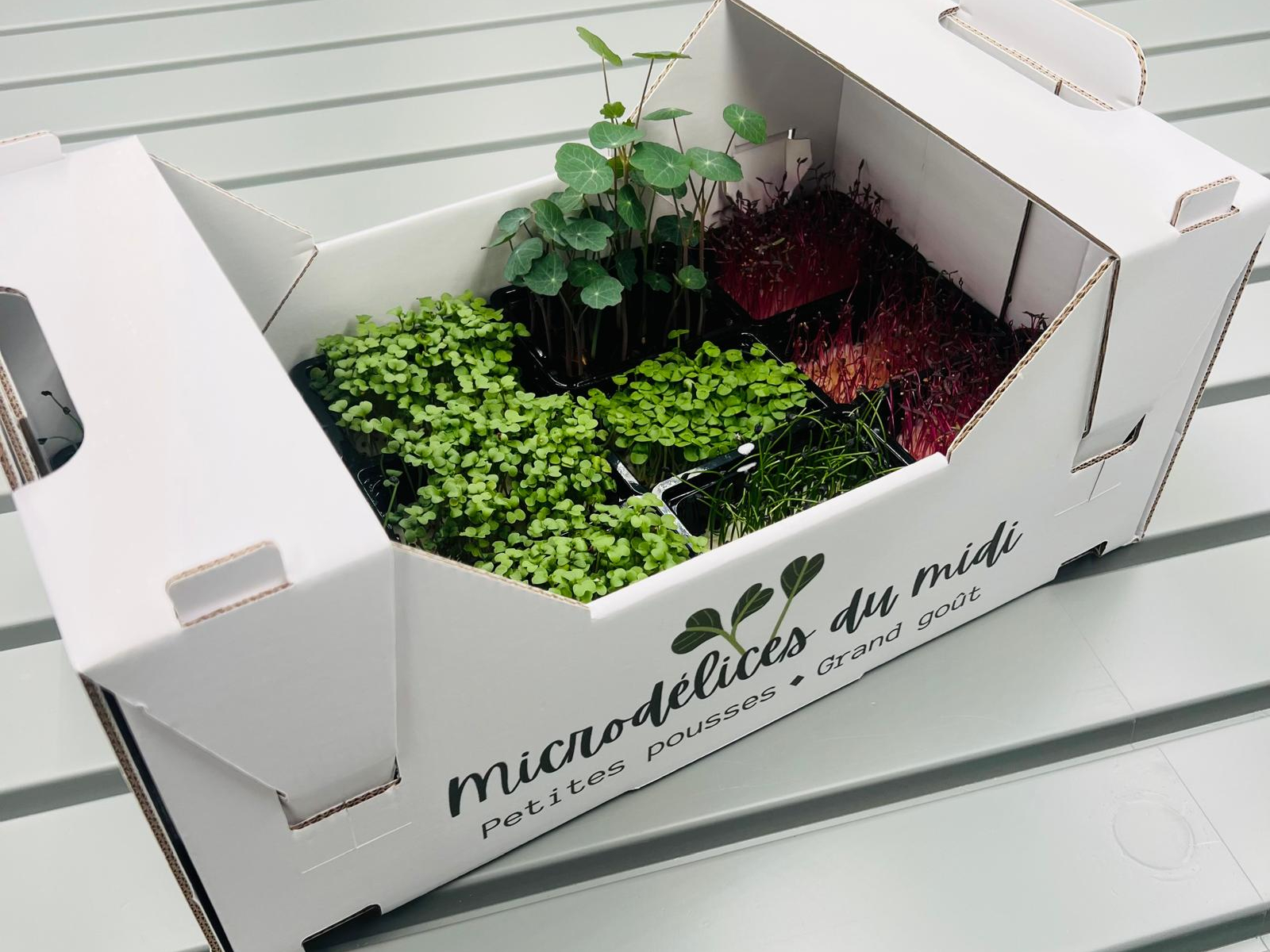 Pousses mix - Microdélices du Midi - Vaud | Valai