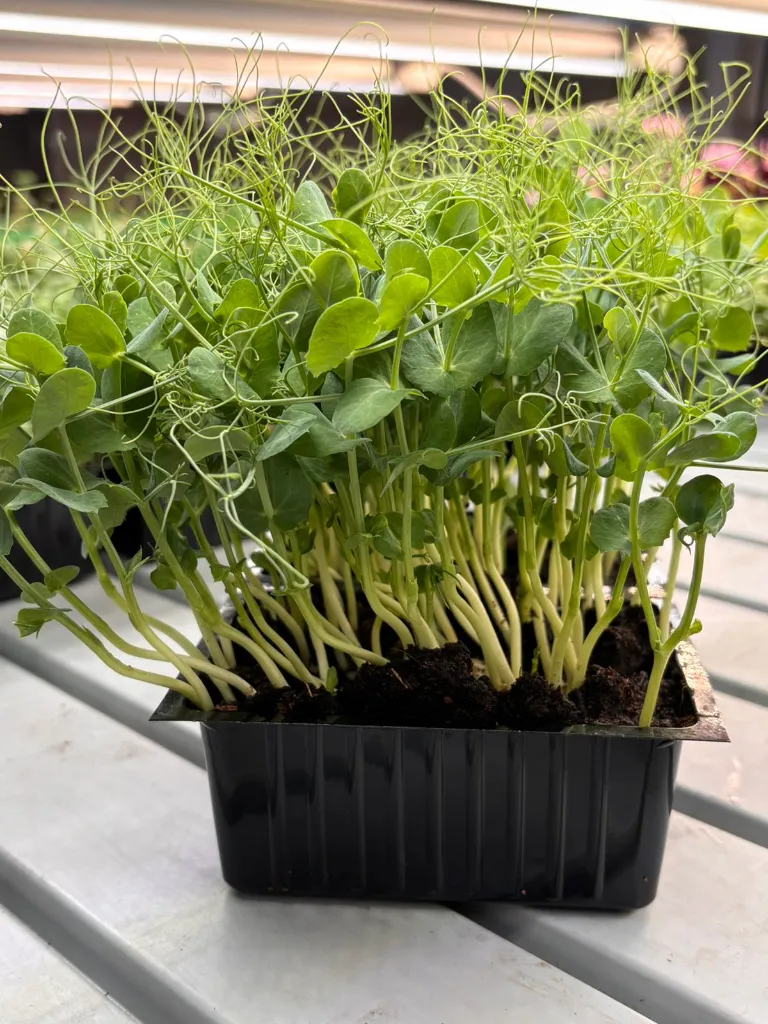 WhatsApp Image 2026-04-03 at 15.31.13 (1).webp