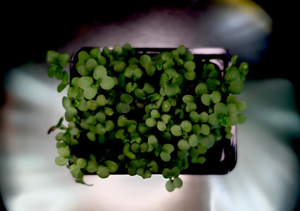 WhatsApp Image 2025-11-30 at 10.47.25.webp