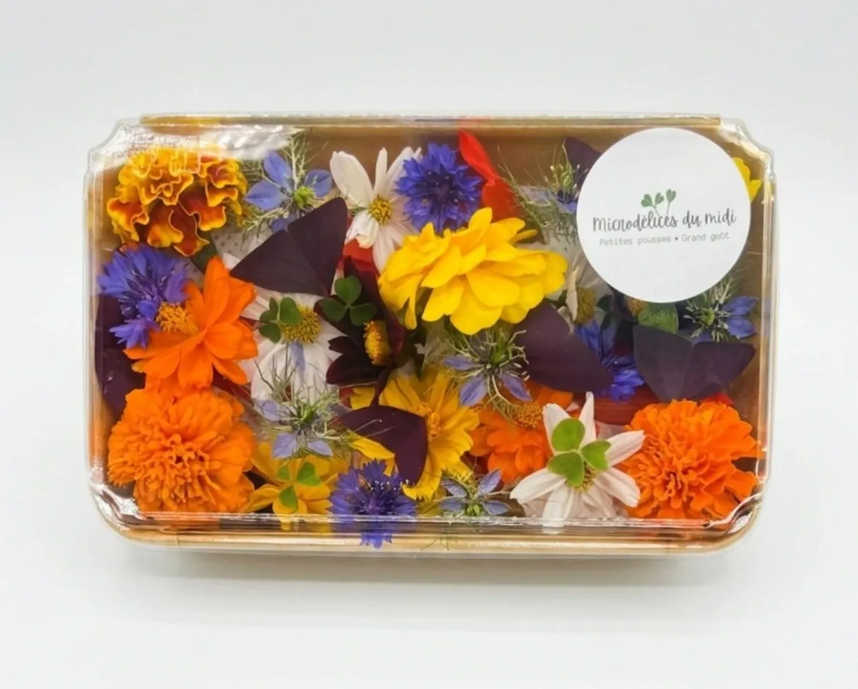 Mélange de fleurs